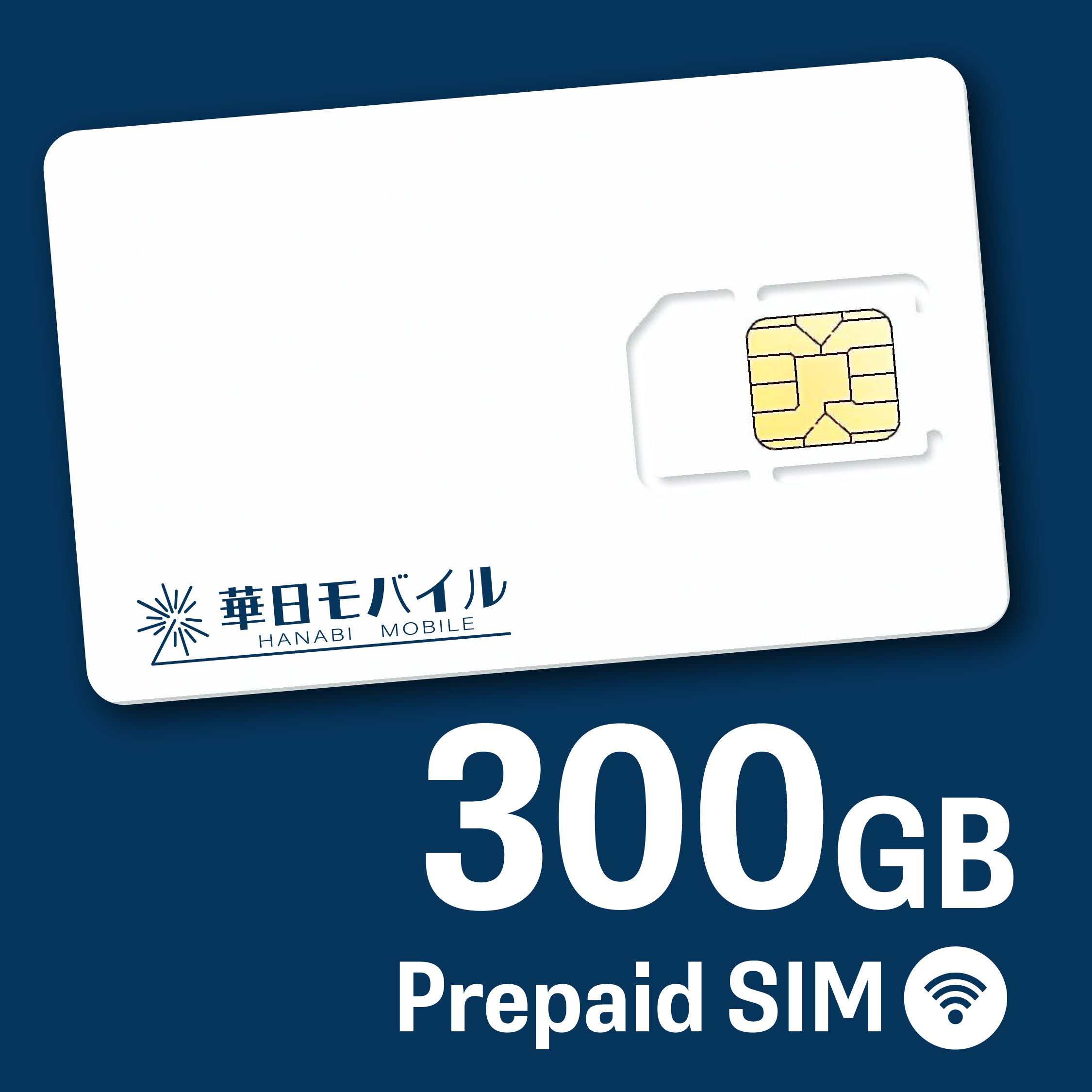 Rakuten Prepaid SIM 300GB